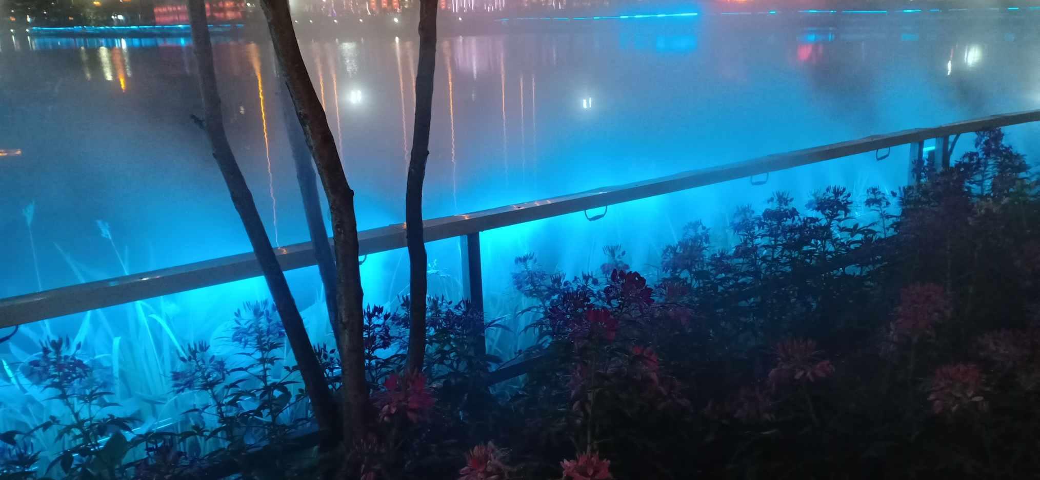 逗小猴开心系列181